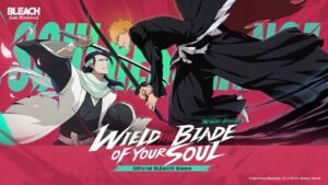 BLEACH: Soul Resonance
