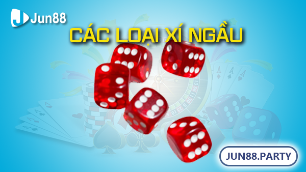 Các Loại xí ngầu trong tài xỉu